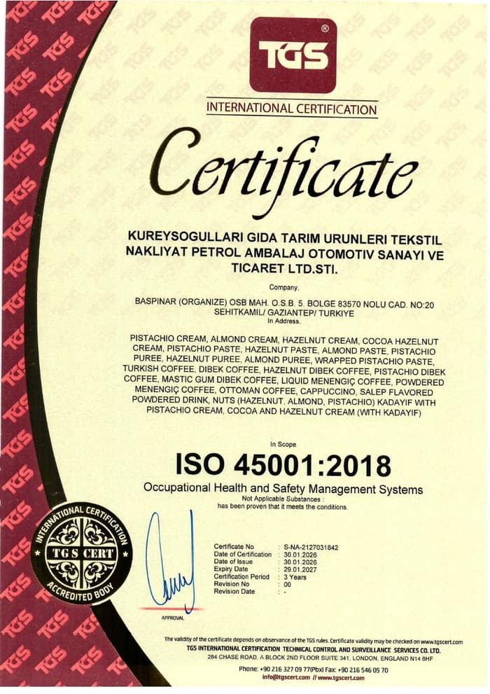 ISO 45001:2018