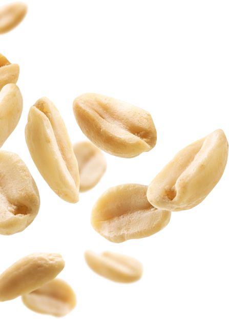 Yer Fıstığı Ezmesi