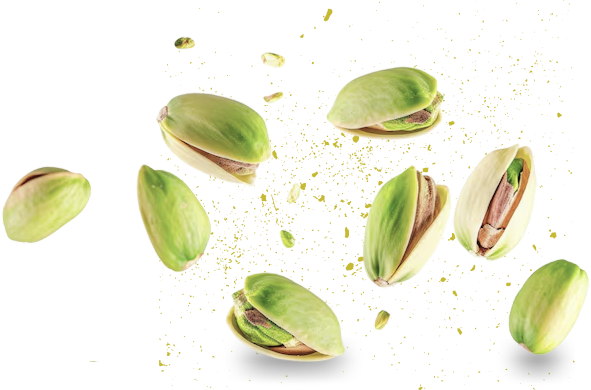 Ezmeler - Gourmet Celebi